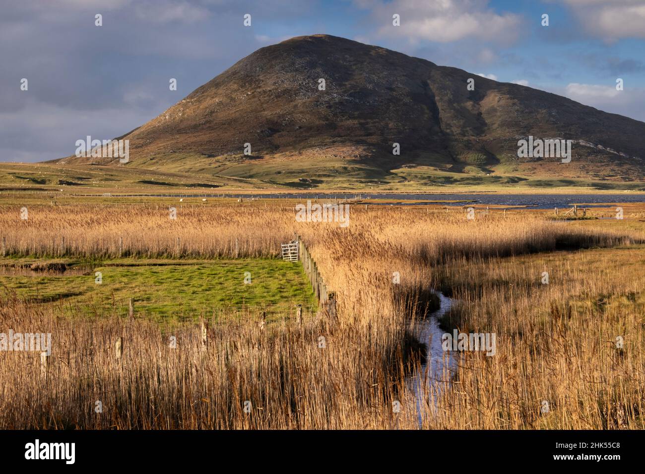 Northton Reed Beds backed by Ceapabhal, near Scarista, Isle of Harris, Outer Hebrides, Scotland, United Kingdom, Europe Stock Photo