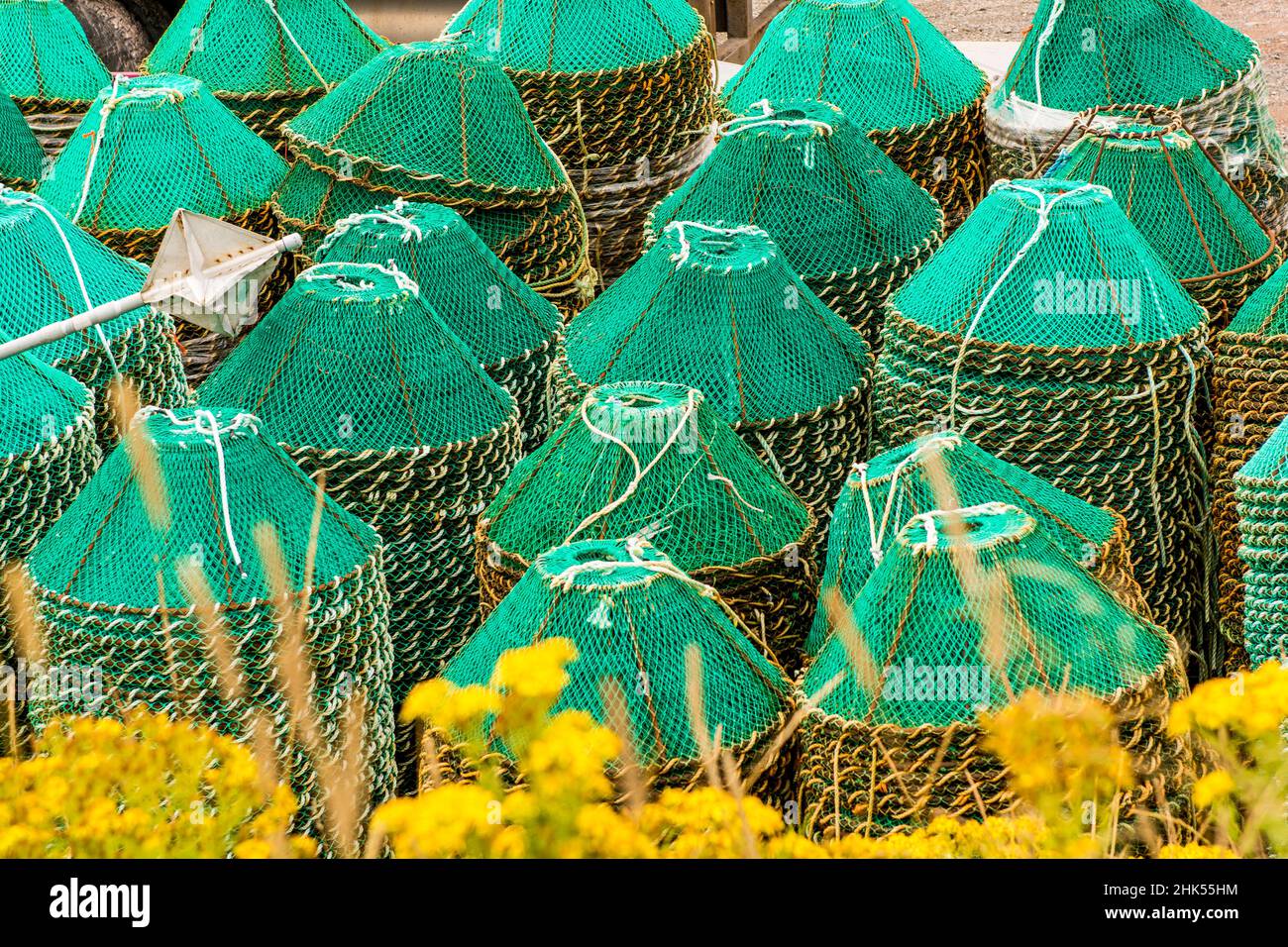 Crab nets pots, Grates Cove, Newfoundland, Canada, North America Stock Photo