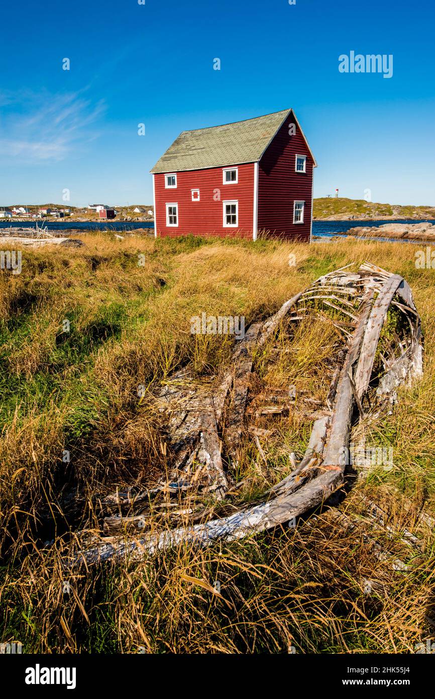 Joe batts arm hires stock photography and images Alamy