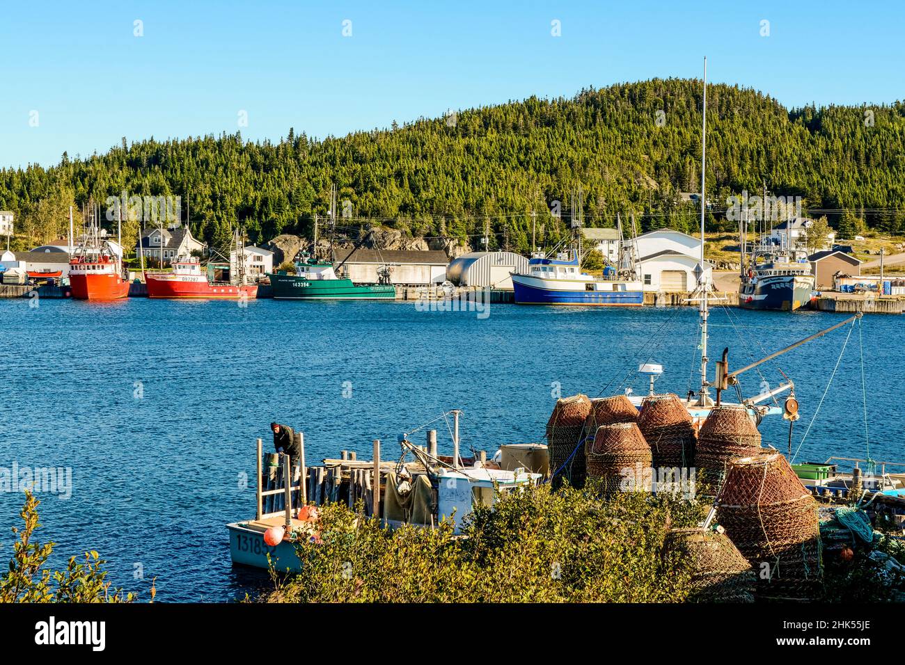 Stag Harbour, Fogo Island, Newfoundland, Canada, North America Stock Photo