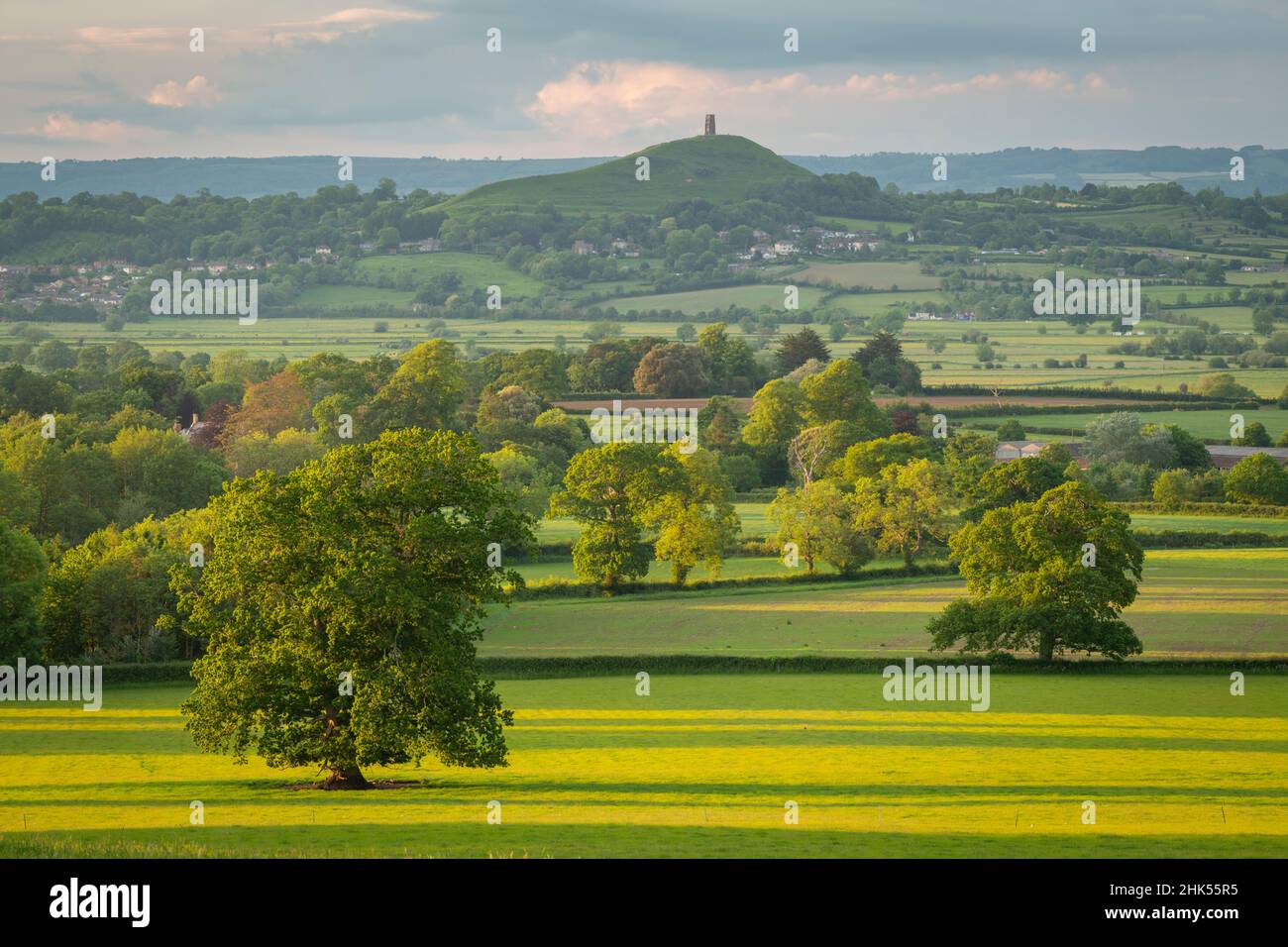 Rural countryside of the Somerset Levels in summer near Glastonbury Tor, Somerset, England, United Kingdom, Europe Stock Photo