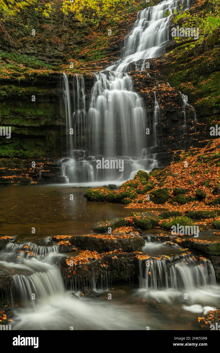 Scaleber Force waterfall in autumn, Yorkshire Dales National Park, North Yorkshire, England, United Kingdom, Europe Stock Photo