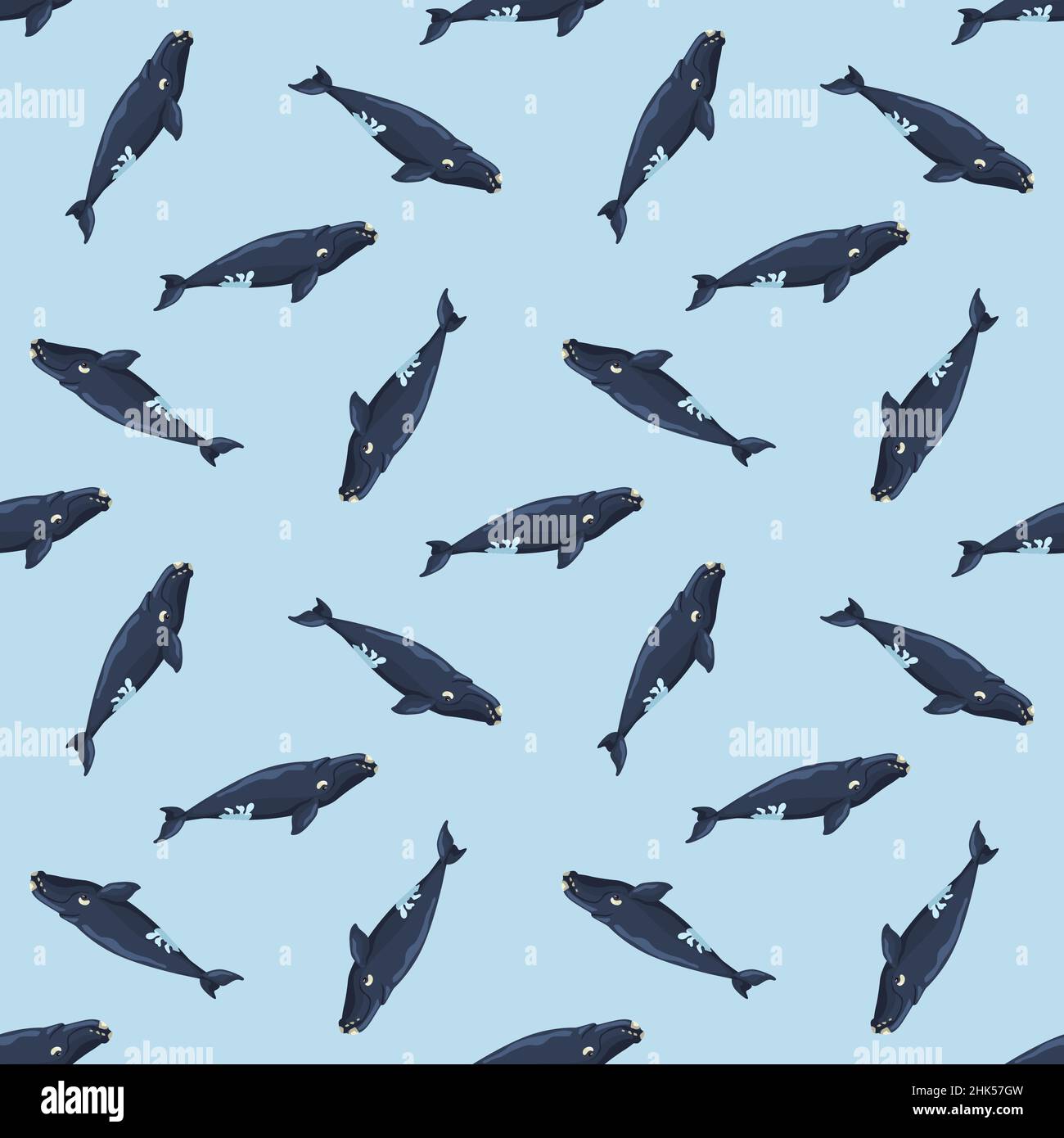 Seamless pattern right whale on light blue background. Template of ...