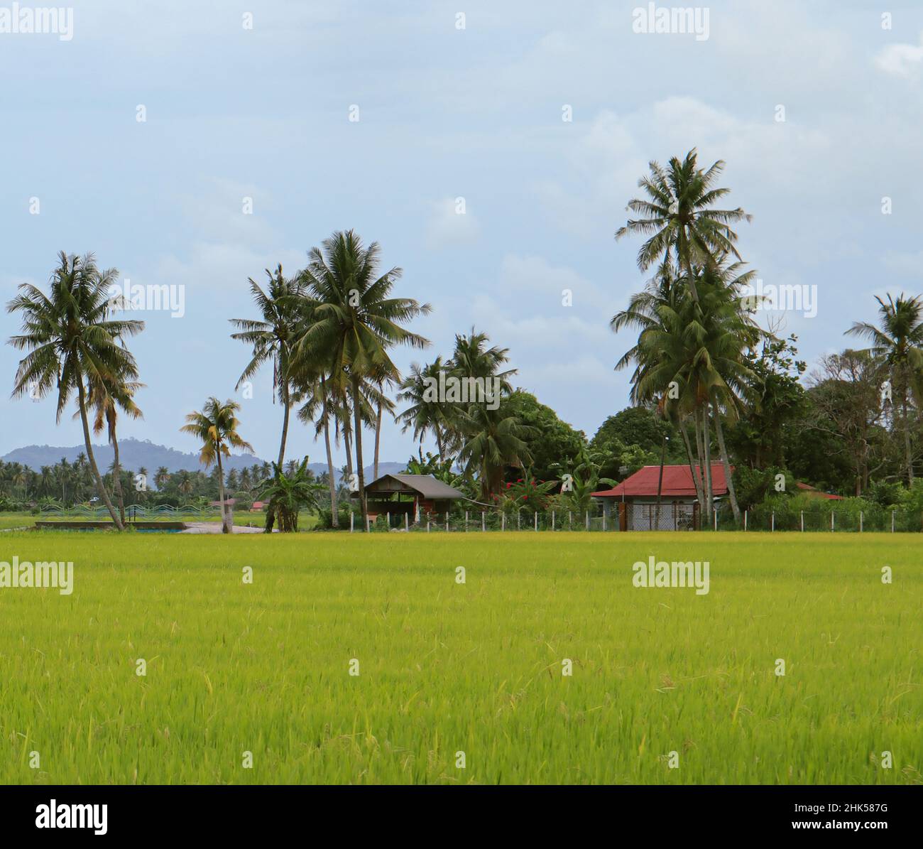 Kampung Agong Pulau Pinang Stock Photo