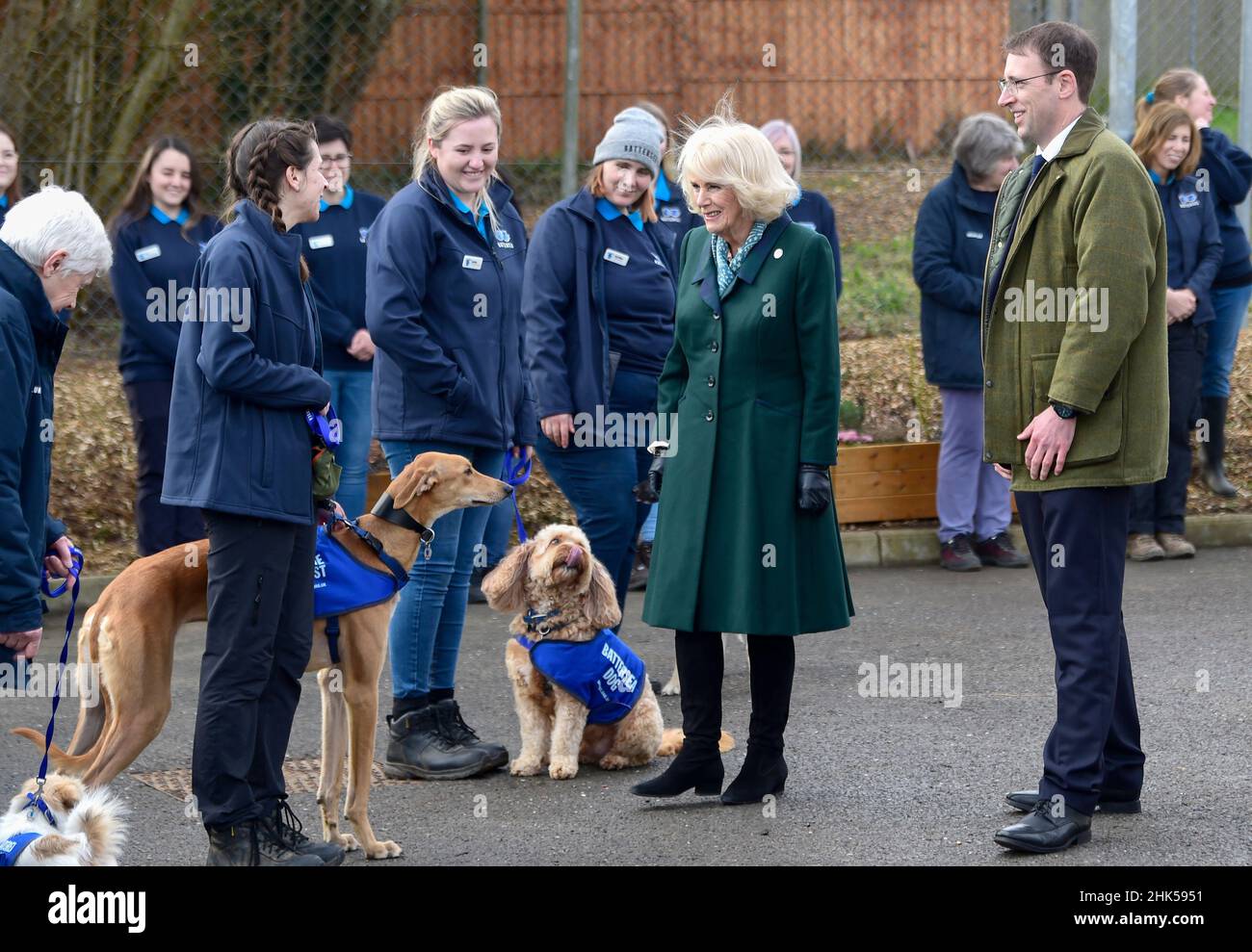 Brands hatch hotsell dogs home