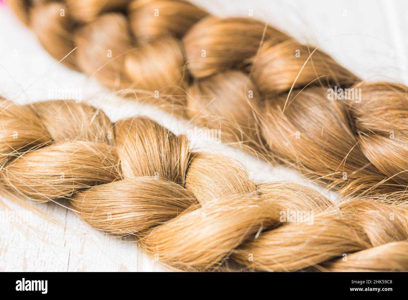 Two braids on a white background, cut for wig donation Stock Photo