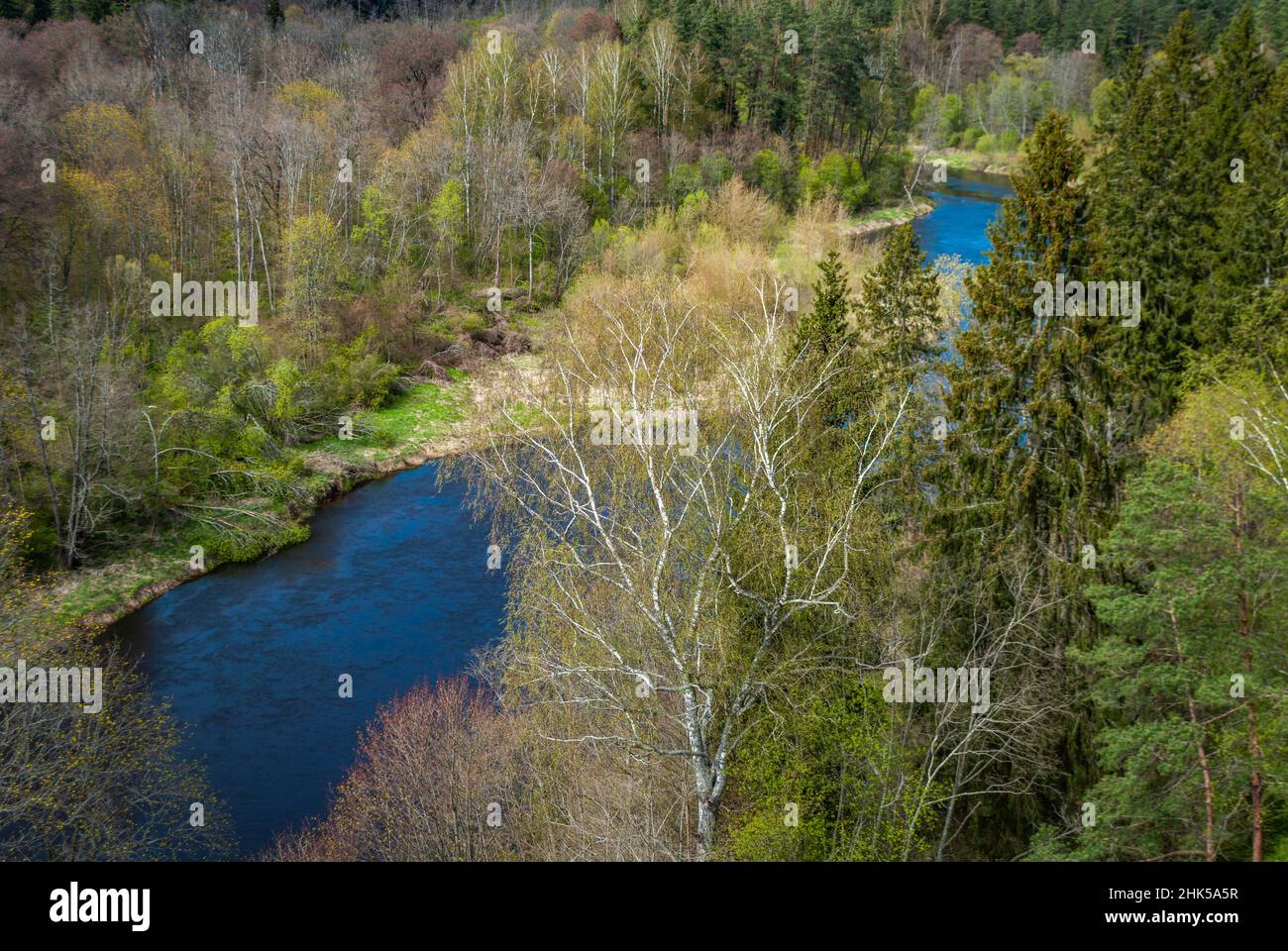 Upper view of the river flowing through the forest. Stock Photo
