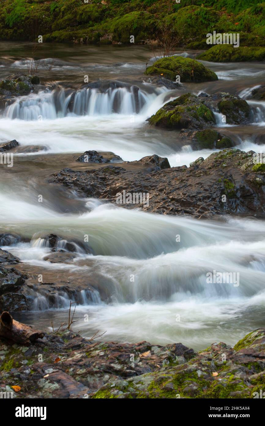 Mckercher park hi-res stock photography and images - Alamy