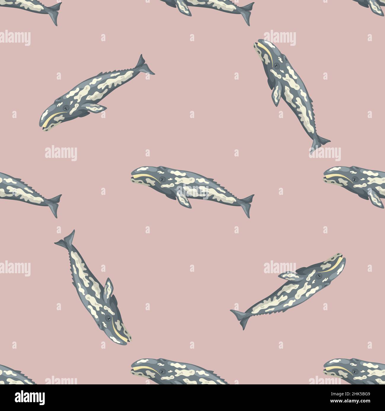 Seamless pattern with gray whale on pink background. Template of cartoon character of ocean for fabric.Repeated random texture with marine cetacean.De Stock Vector