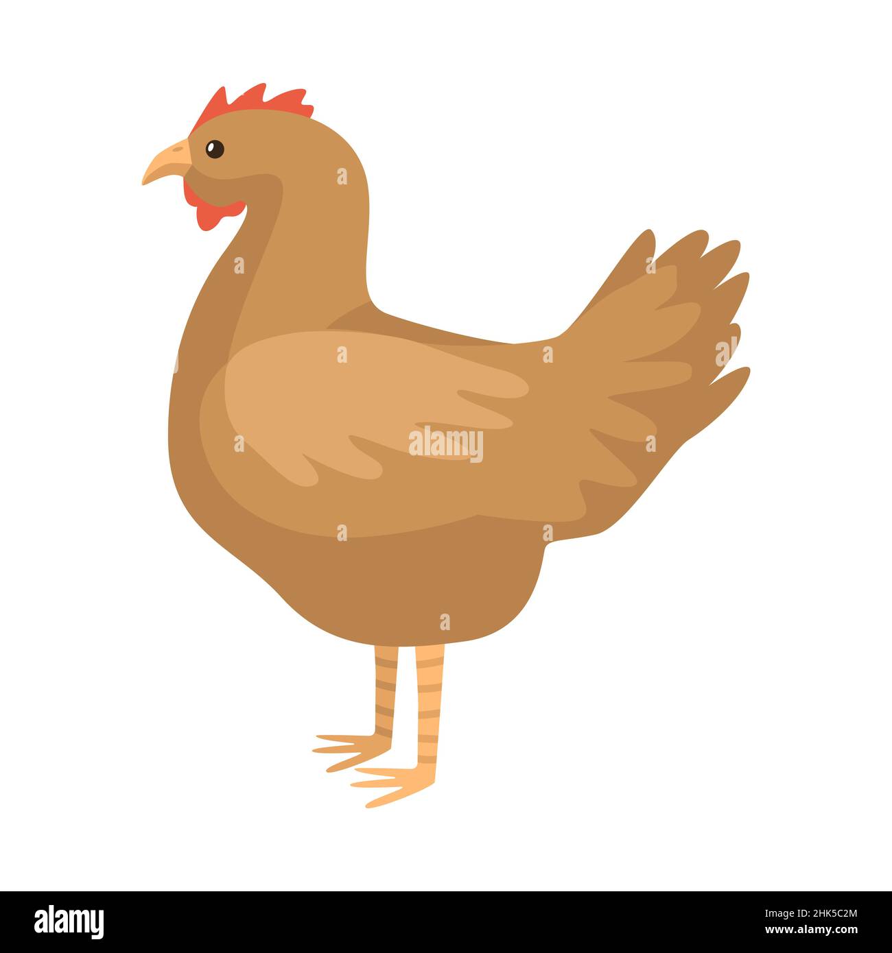 Walking chicken Cut Out Stock Images & Pictures - Page 3 - Alamy