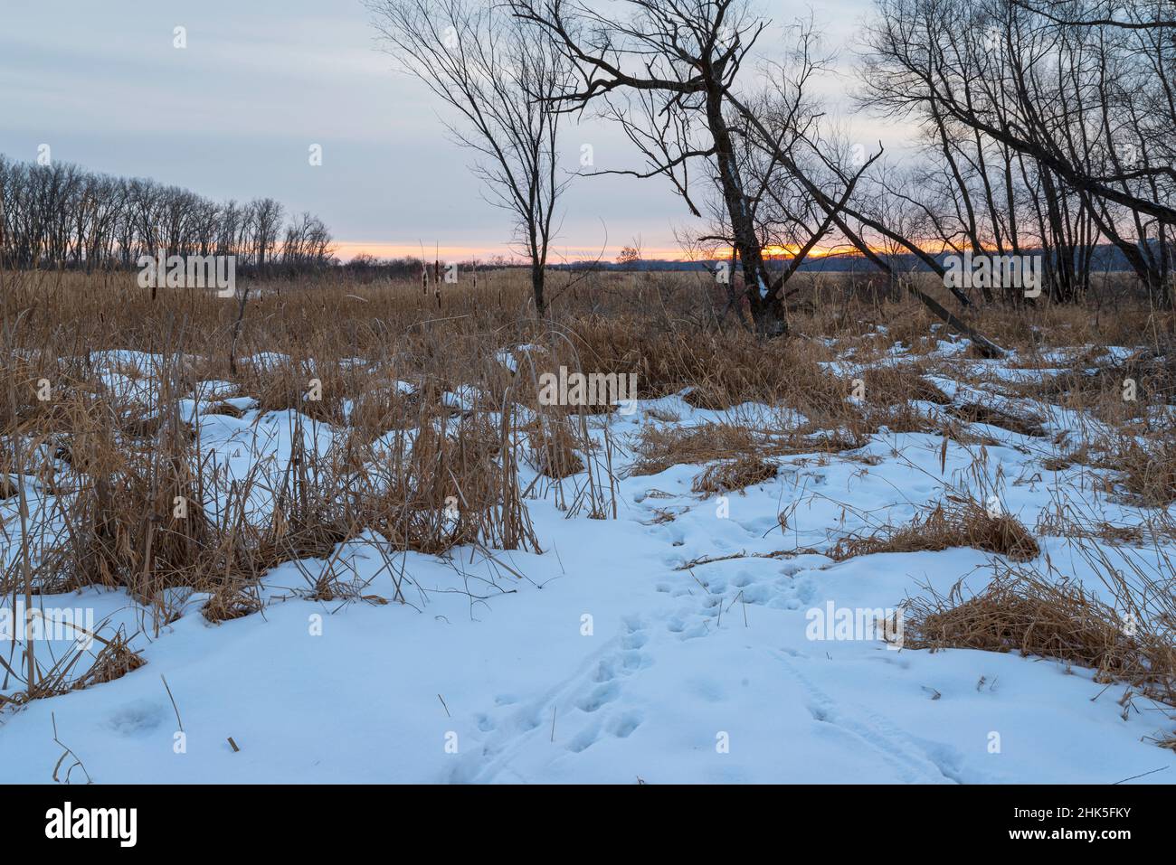 snowy minnesota valley wildlife refuge landscape at dusk in eagan minnesota Stock Photo