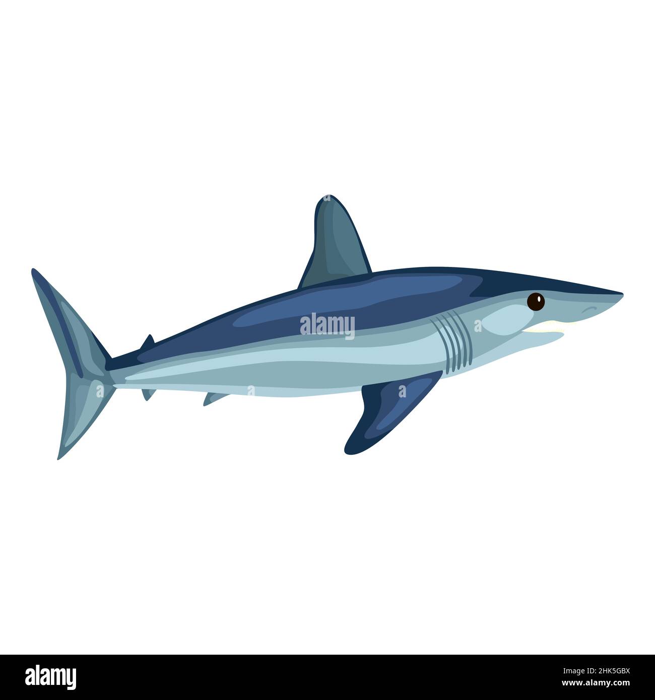 Mako shark isolated on white background. Cartoon character of ocean for