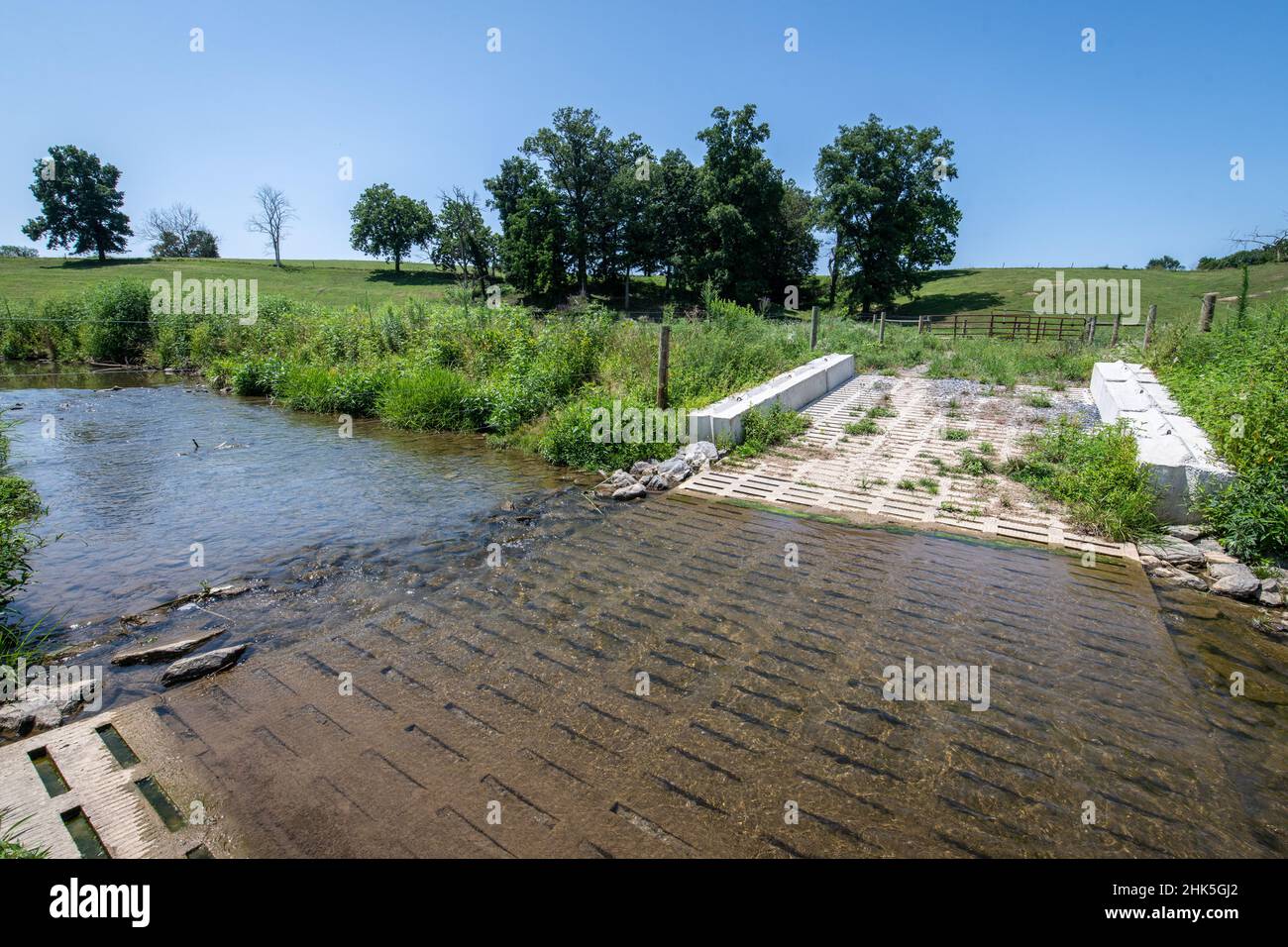 Cattle concrete stream crossing Stock Photo Alamy