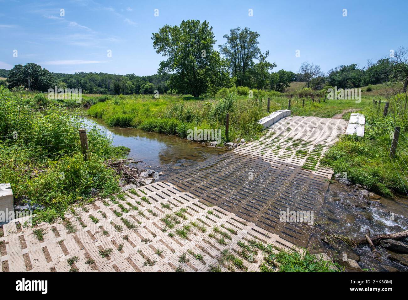 Cattle concrete stream crossing Stock Photo Alamy