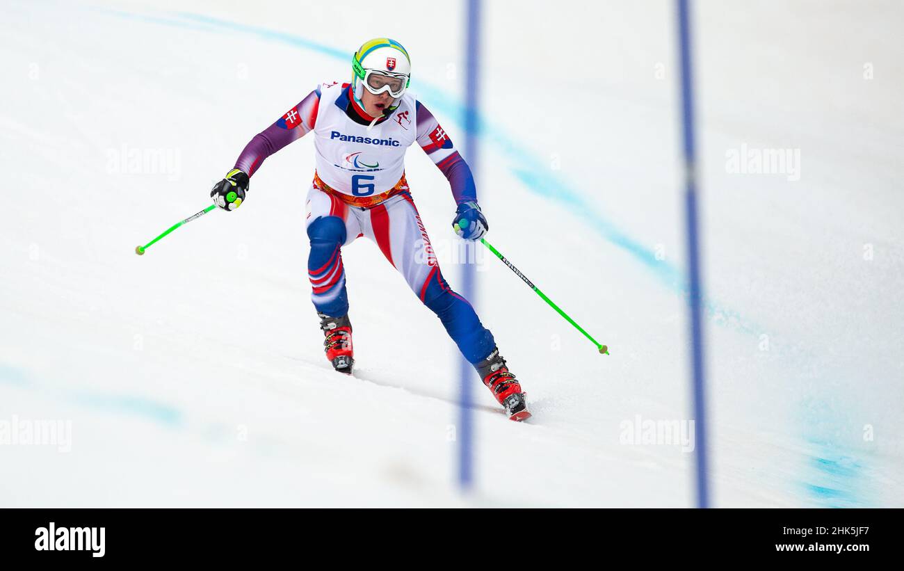 Radomir DUDAS of Slovakia follows the shouts of his guide in the Mens  Alpine Skiing Giant Slalom during the 2014 Winter Paralympic Games at the  Rosa K Stock Photo - Alamy