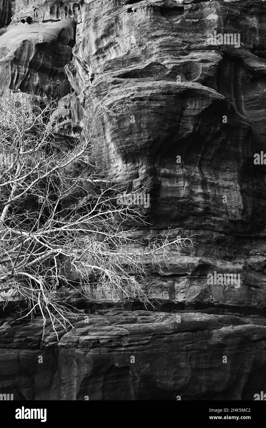 Wadi rum desert in Black and White Stock Photos & Images - Alamy