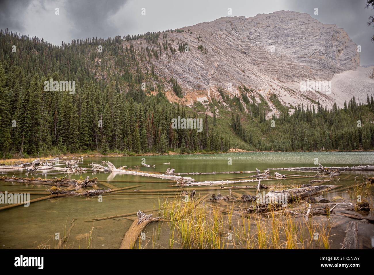 Lillian Lake, Kananaskis Country, Alberta, Canada Stock Photo Alamy