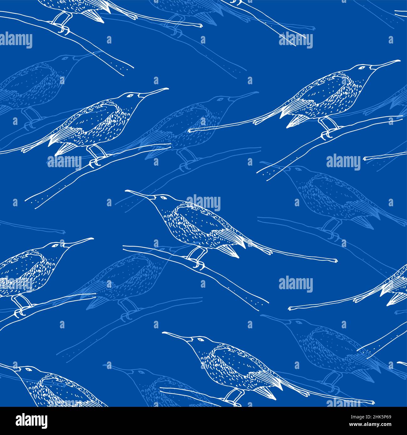 Sunbird vector seamless pattern, bird family Nectariniidae of passerine birds, isolated on blue background Stock Vector