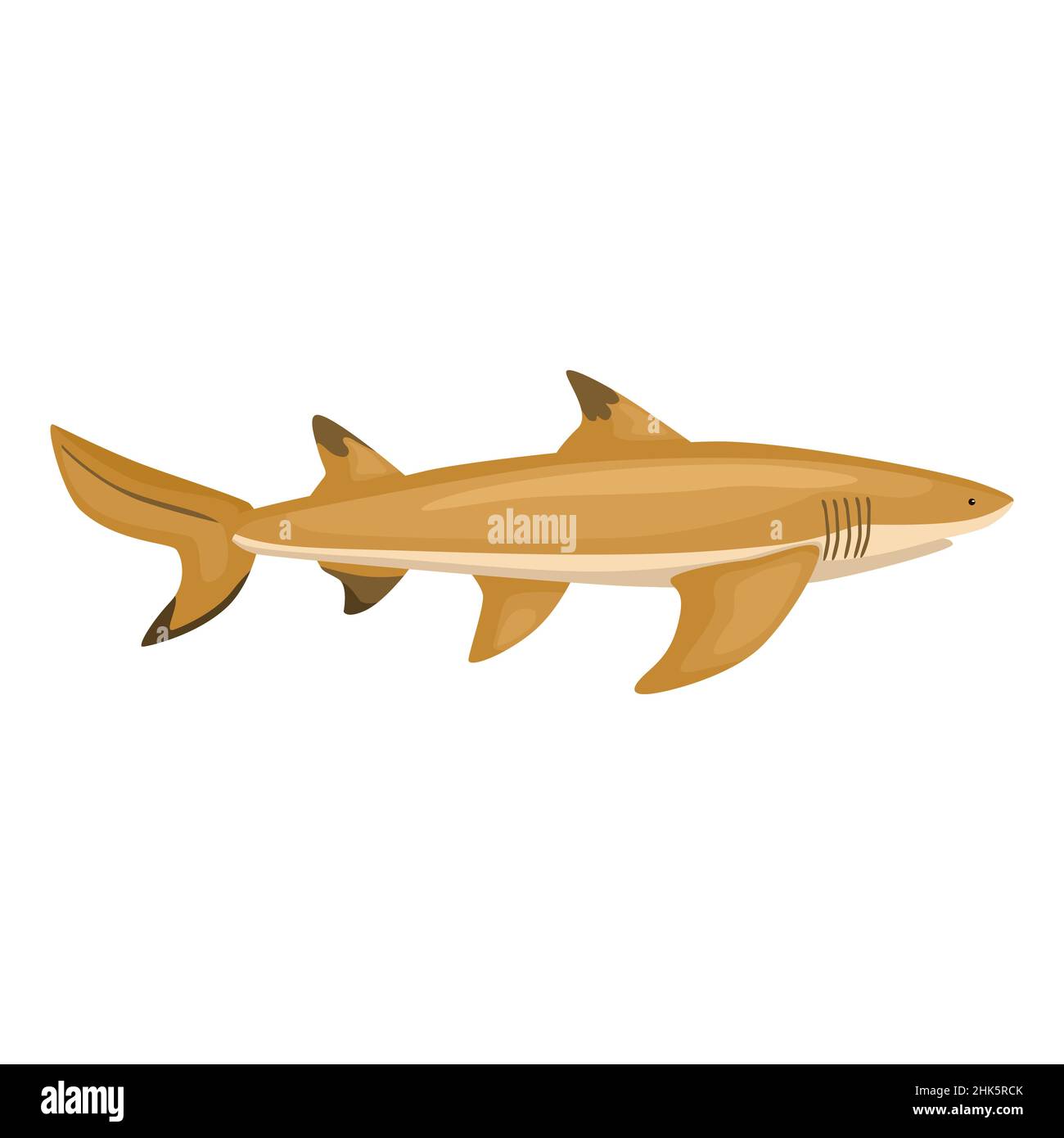 Lemon shark isolated on white background. Cartoon character of ocean