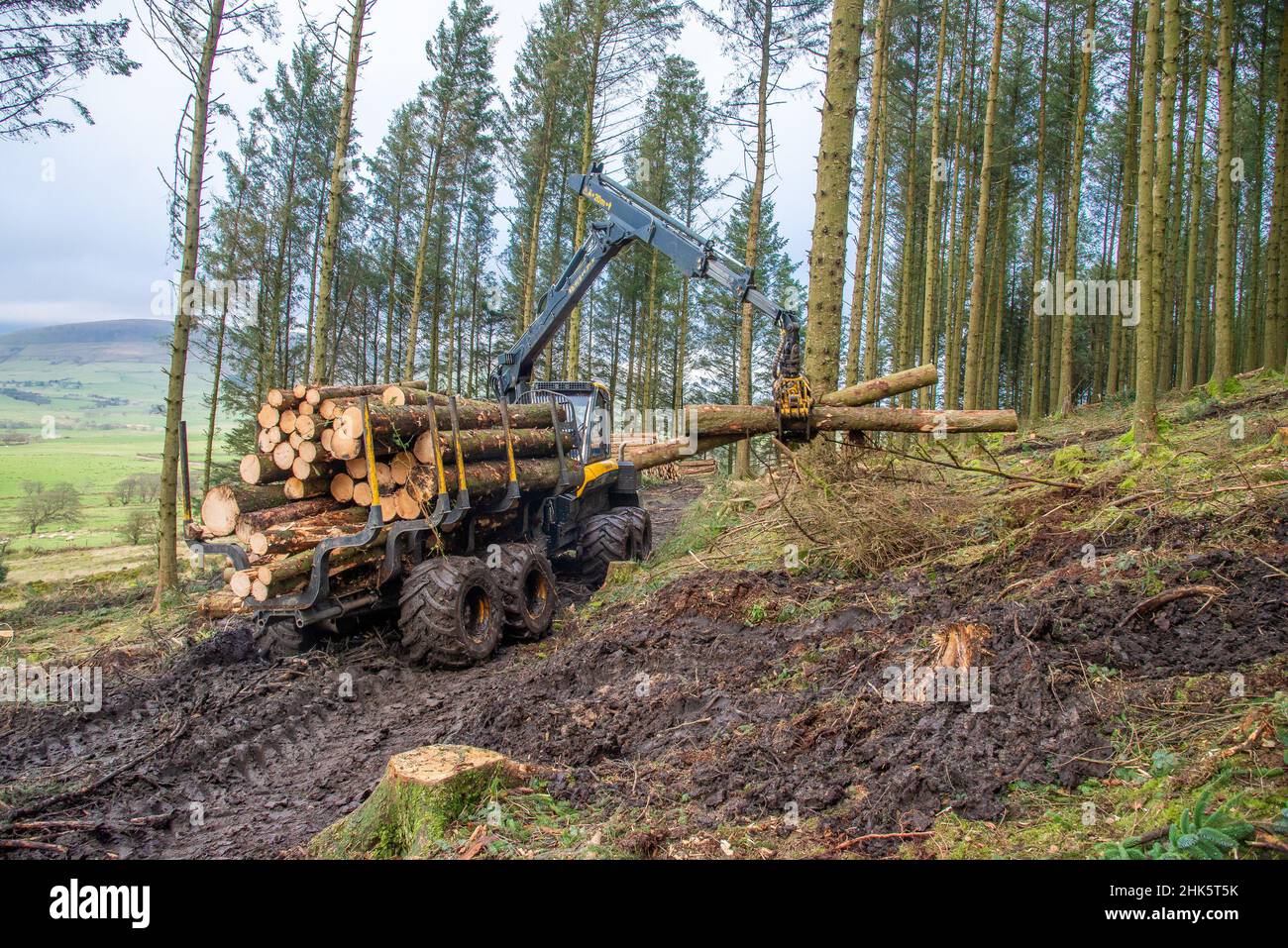 A Ponsse Wisent Forwarder forestry harvester working on Beacon Fell, Preston, Lancashire, UK Stock Photo