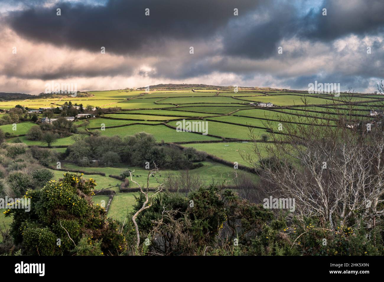 Fields on farmland on Bodmin Moor in Cornwall Stock Photo Alamy