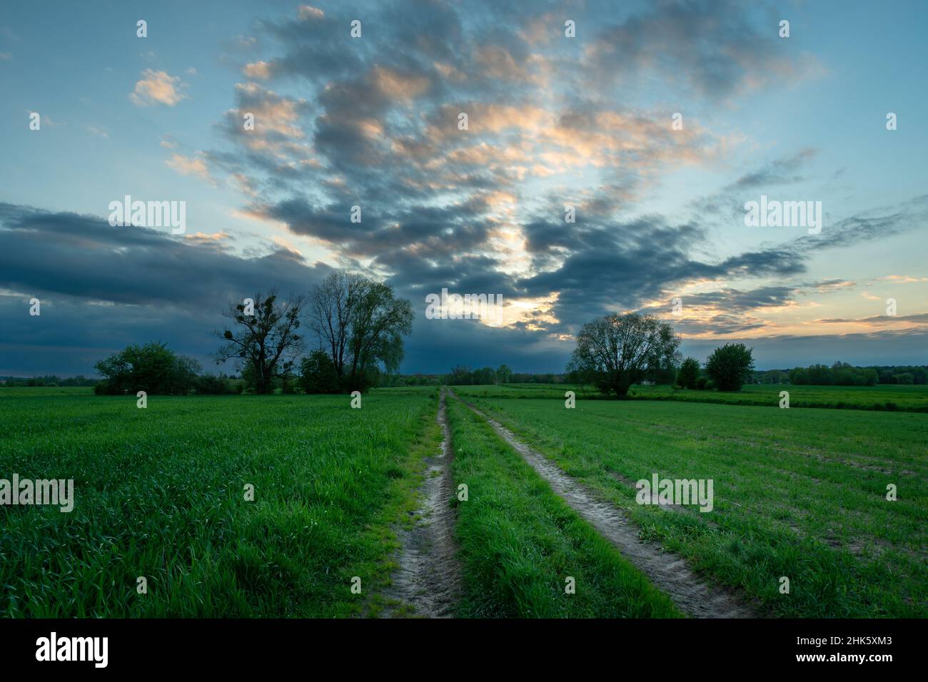 Dirt road through green fields and evening sky Stock Photo - Alamy