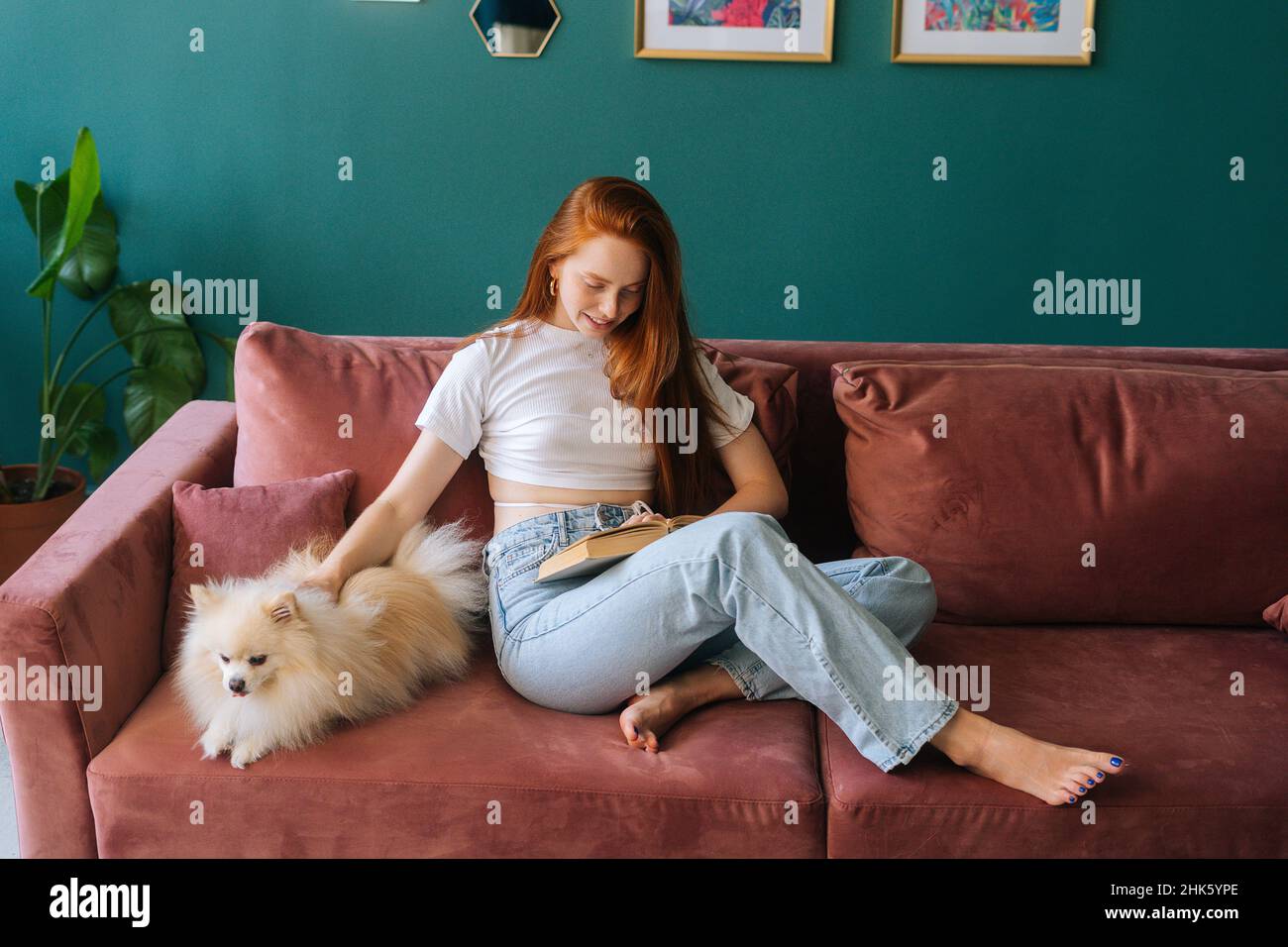 Front view of attractive young woman reading book sitting on cozy sofa with pretty miniature spitz dog at apartment with modern light interior. Stock Photo