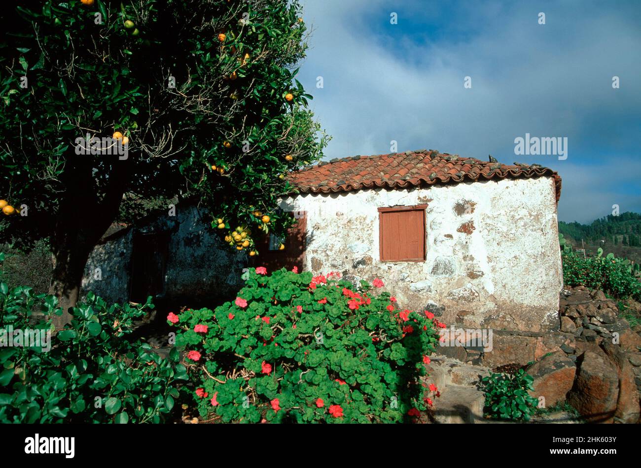 Rural house near Las Tricas, Canary Islands, La Palma, Spain, Europe Stock Photo