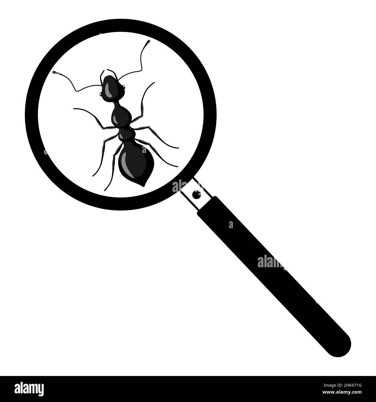 An ant under a magnifying glass isolated on white background. Icon