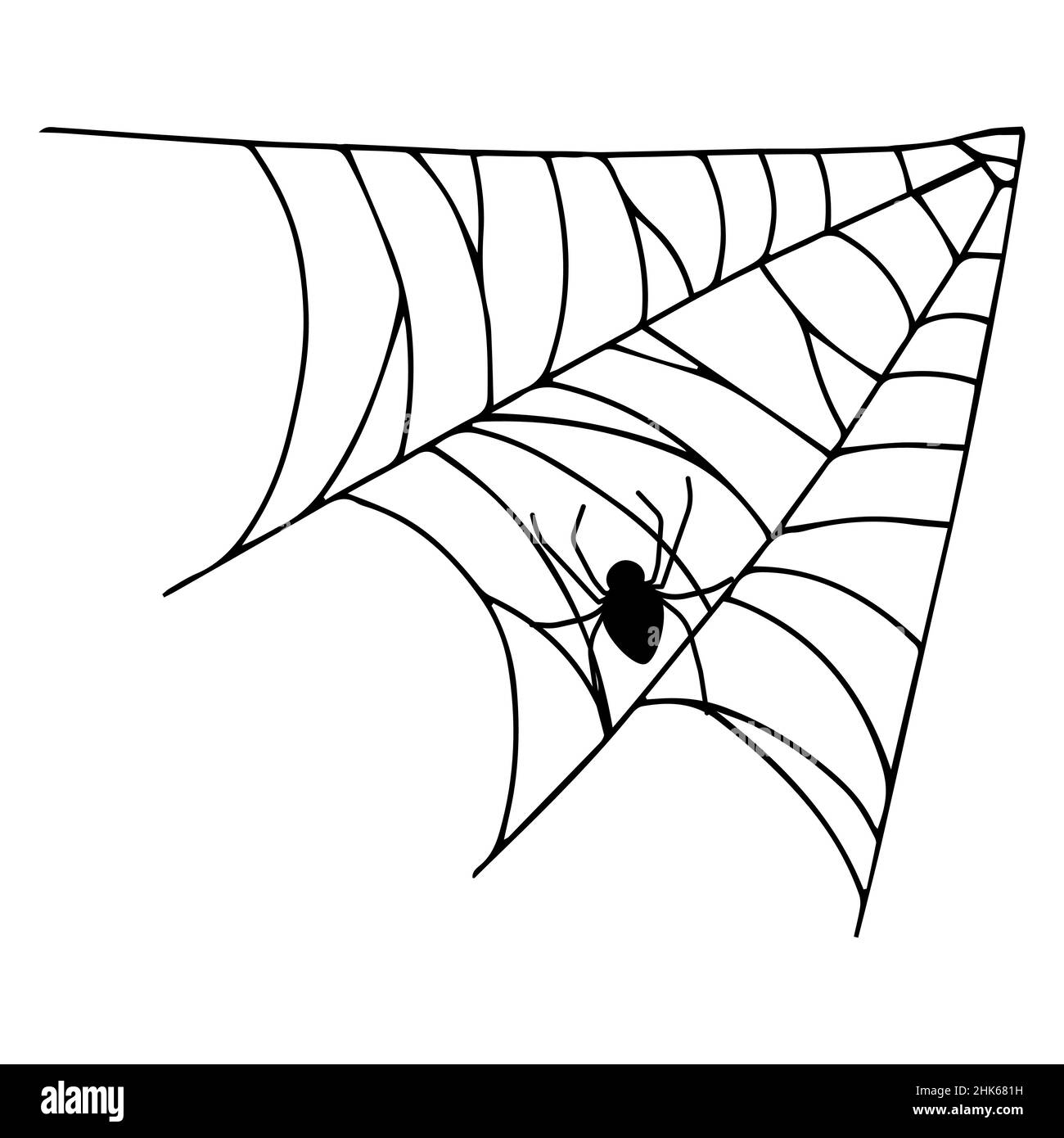 Spider web isolated on white background. Spooky cobwebs with spiders. Outline vector illustration. Design element. Stock Vector