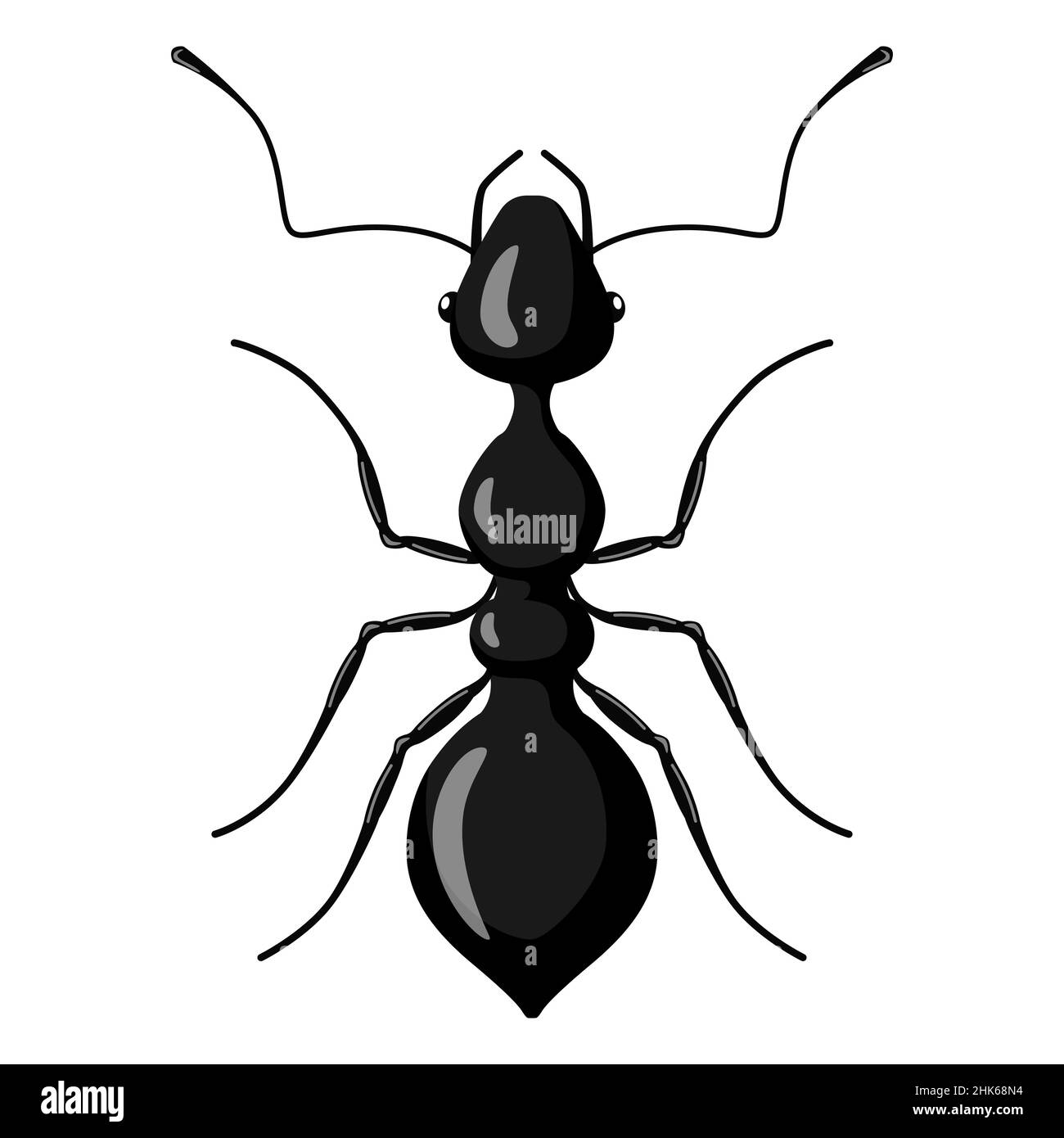 Black ant isolated on white background. Vector insect character in flat ...