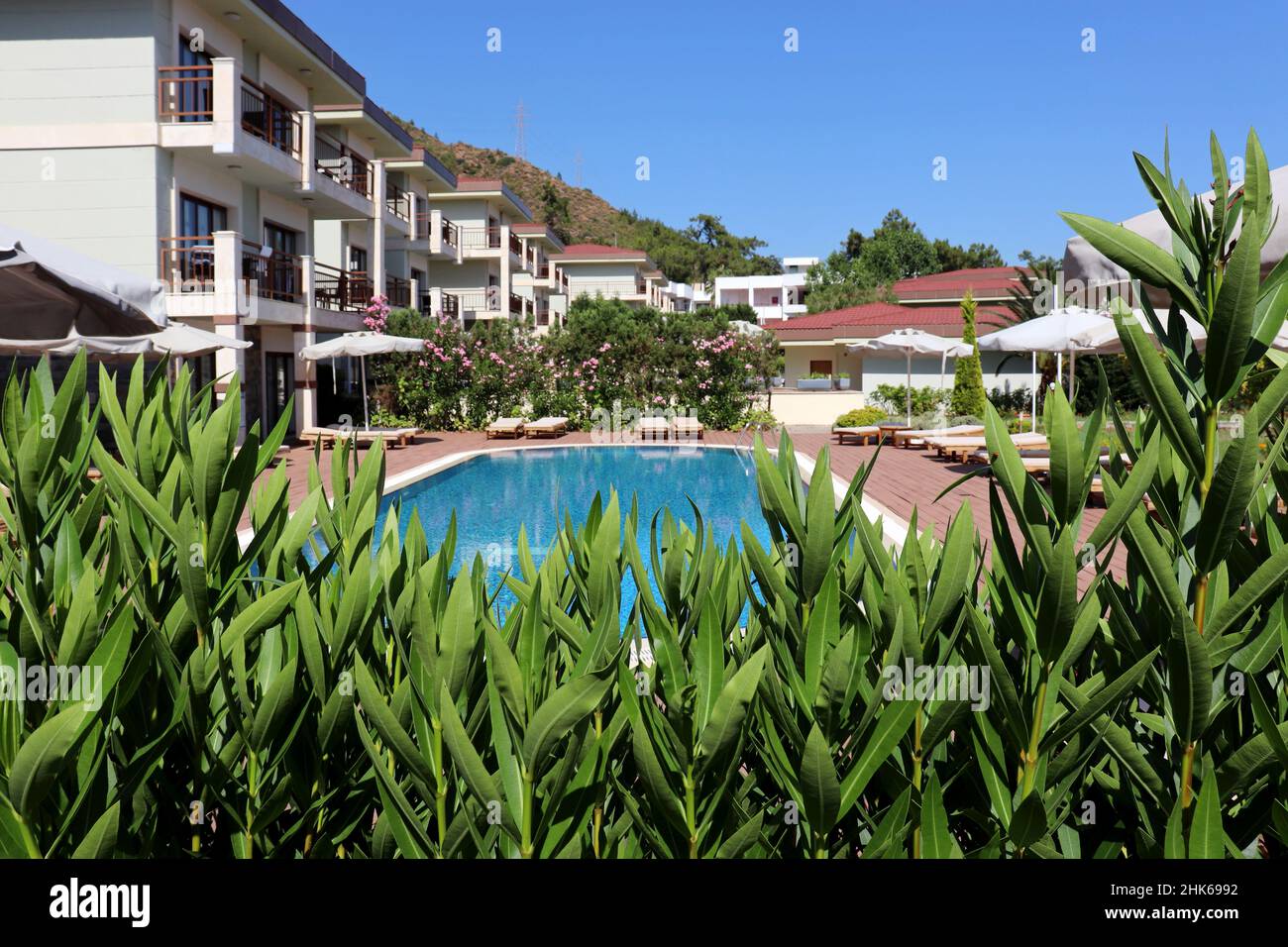 View through the oleander leaves on the swimming pool, deck chairs and villa houses. Vacation on summer resort Stock Photo