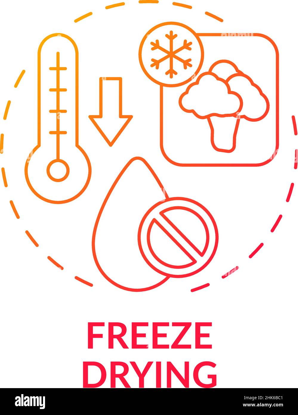 Freeze drying red gradient concept icon Stock Vector Image & Art - Alamy