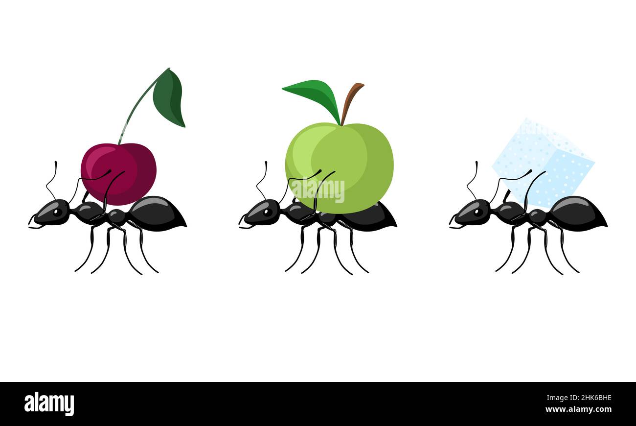 Set ants carrying different fruits isolated on white background. Colony of ants carrying apple, cherry, sugar and walking to the anthill. Vector illus Stock Vector