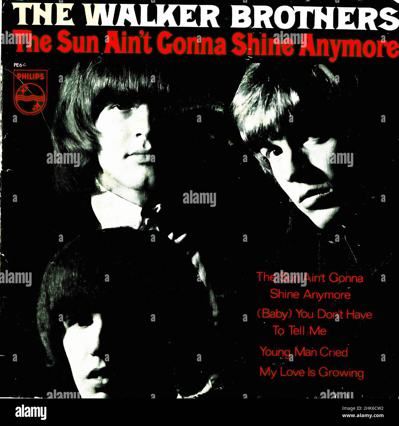 Amazon.co.jp: days of ANNE 1967-2008 : 円谷プロダクション: 本