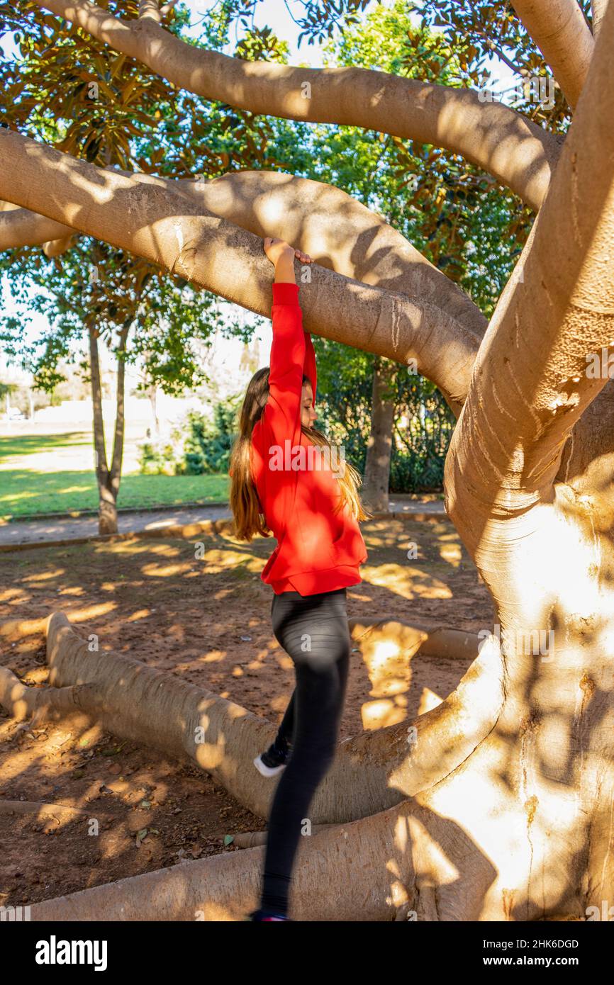 12 years old girl climbing high tree in the forrest. People concept