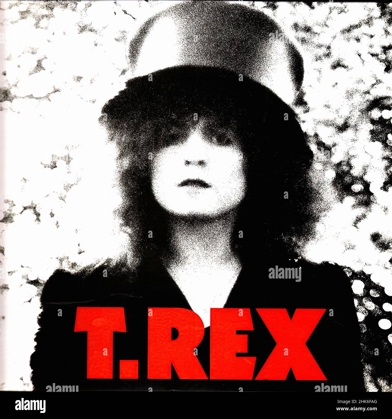 Vintage vinyl record cover - T Rex - The Slider - UK - 1972-Issue 180gr 2012 Stock Photo
