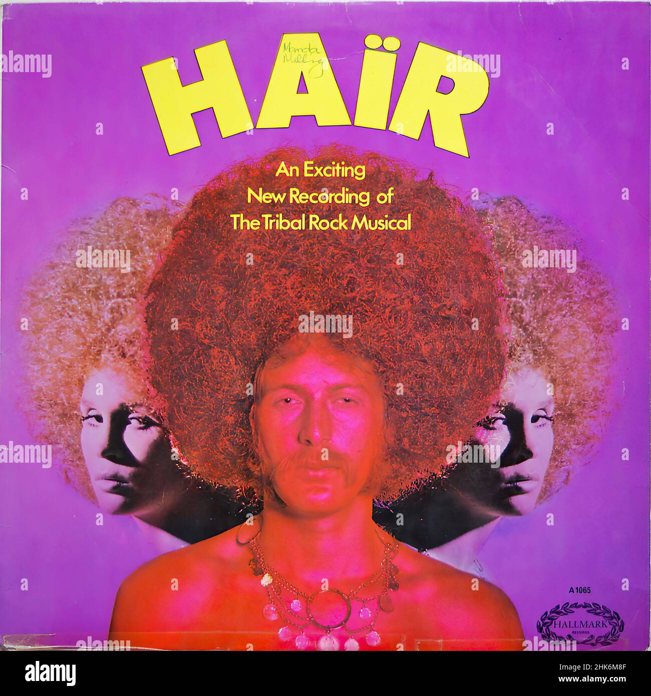 Vintage vinyl record cover -  Hair - Musical - Cover Stock Photo