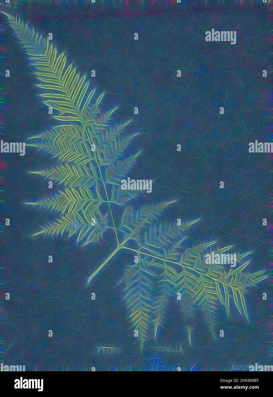 Inspired by Pteris tremula, Auckland. From the album: New Zealand ferns. 167 varieties, Eric Craig, maker/artist, 1888, Auckland, blueprint process, Reimagined by Artotop. Classic art reinvented with a modern twist. Design of warm cheerful glowing of brightness and light ray radiance. Photography inspired by surrealism and futurism, embracing dynamic energy of modern technology, movement, speed and revolutionize culture Stock Photo