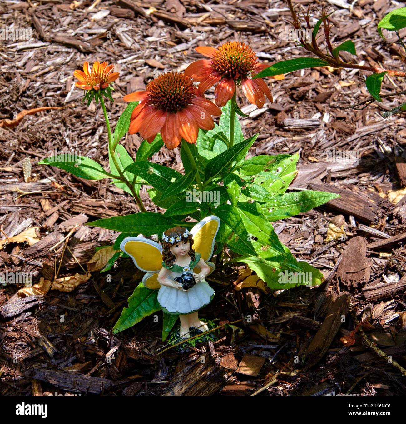 A cute little fairy sitting under a orange flower,in a garden. Stock Photo