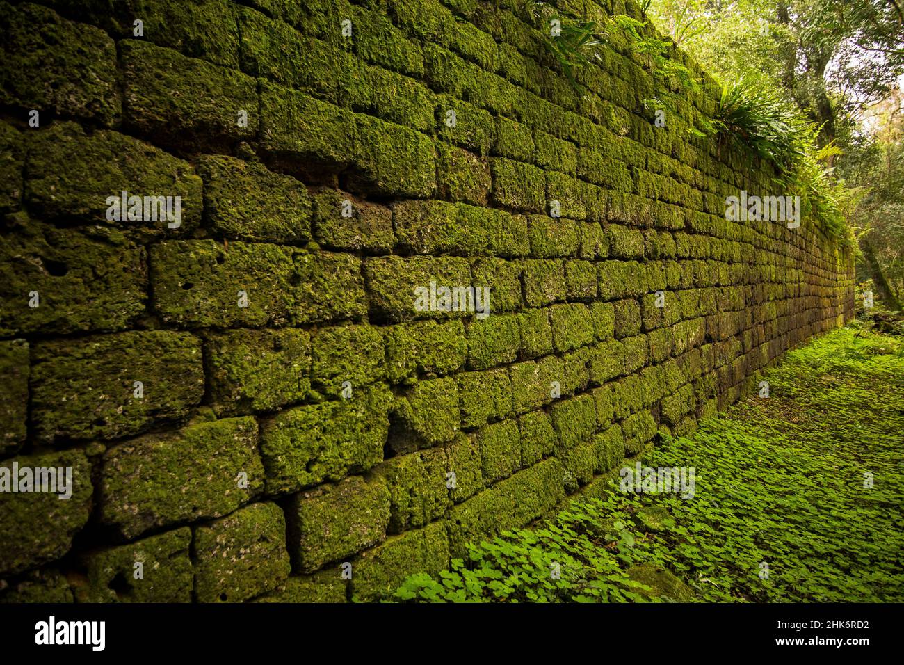 Ancient brick wall covered of moss in the rain forest in Ruinas Santa María la Mayor, Misiones, Argentina Stock Photo