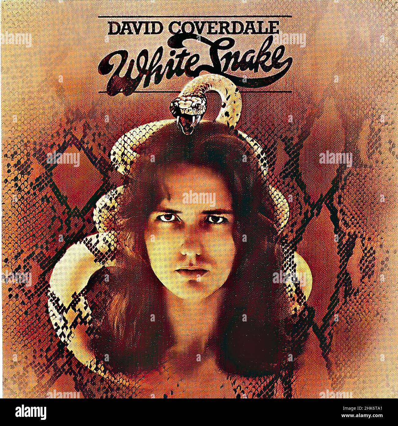 Vintage vinyl record cover - David Coverdale - Whitesnake