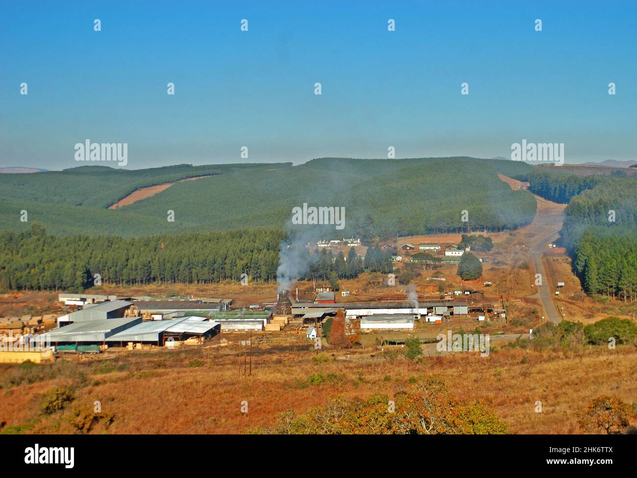 wood industry factory ,Eswatini, Swaziland Stock Photo