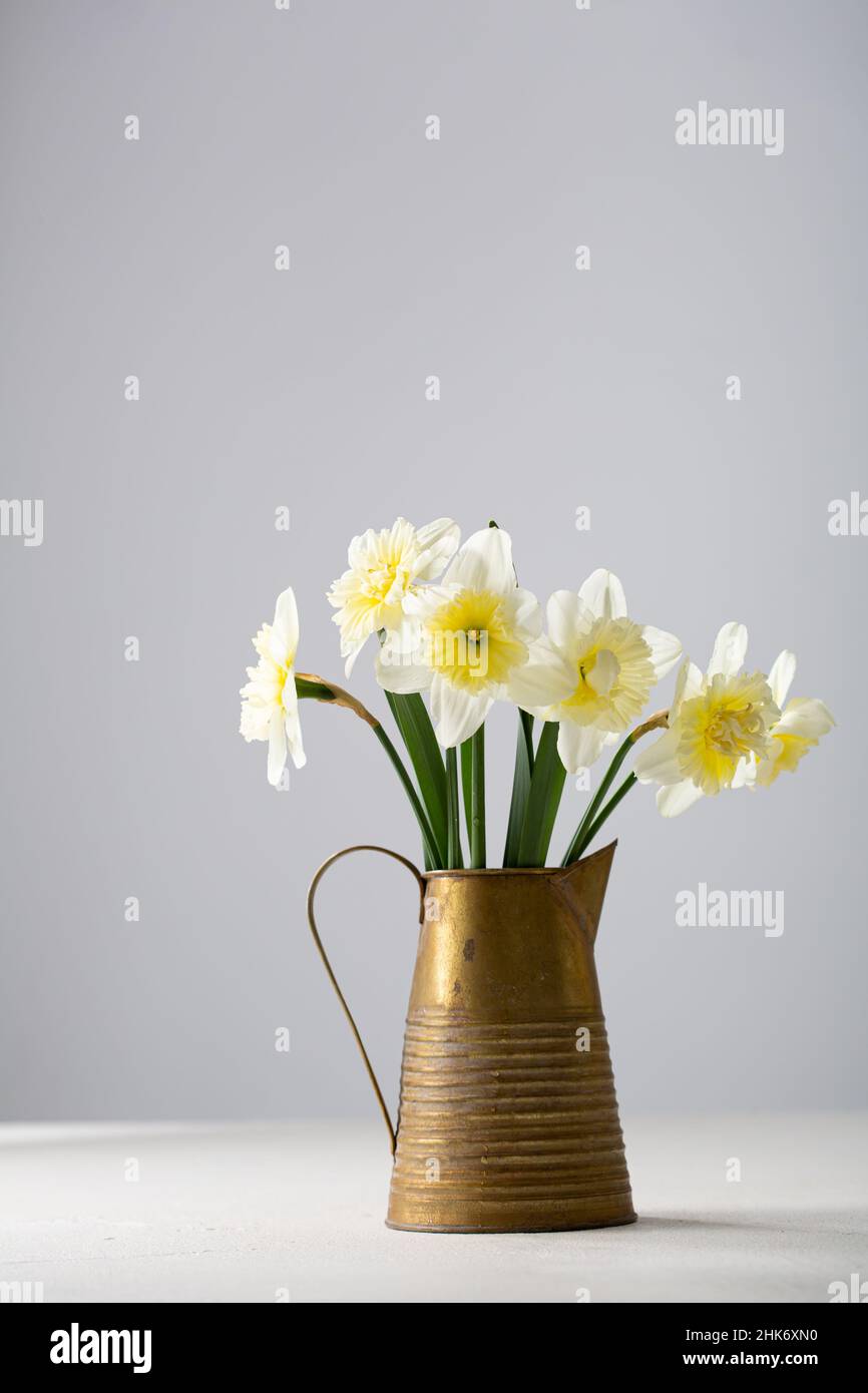 Spring flowers daffodil in vintage pot Stock Photo