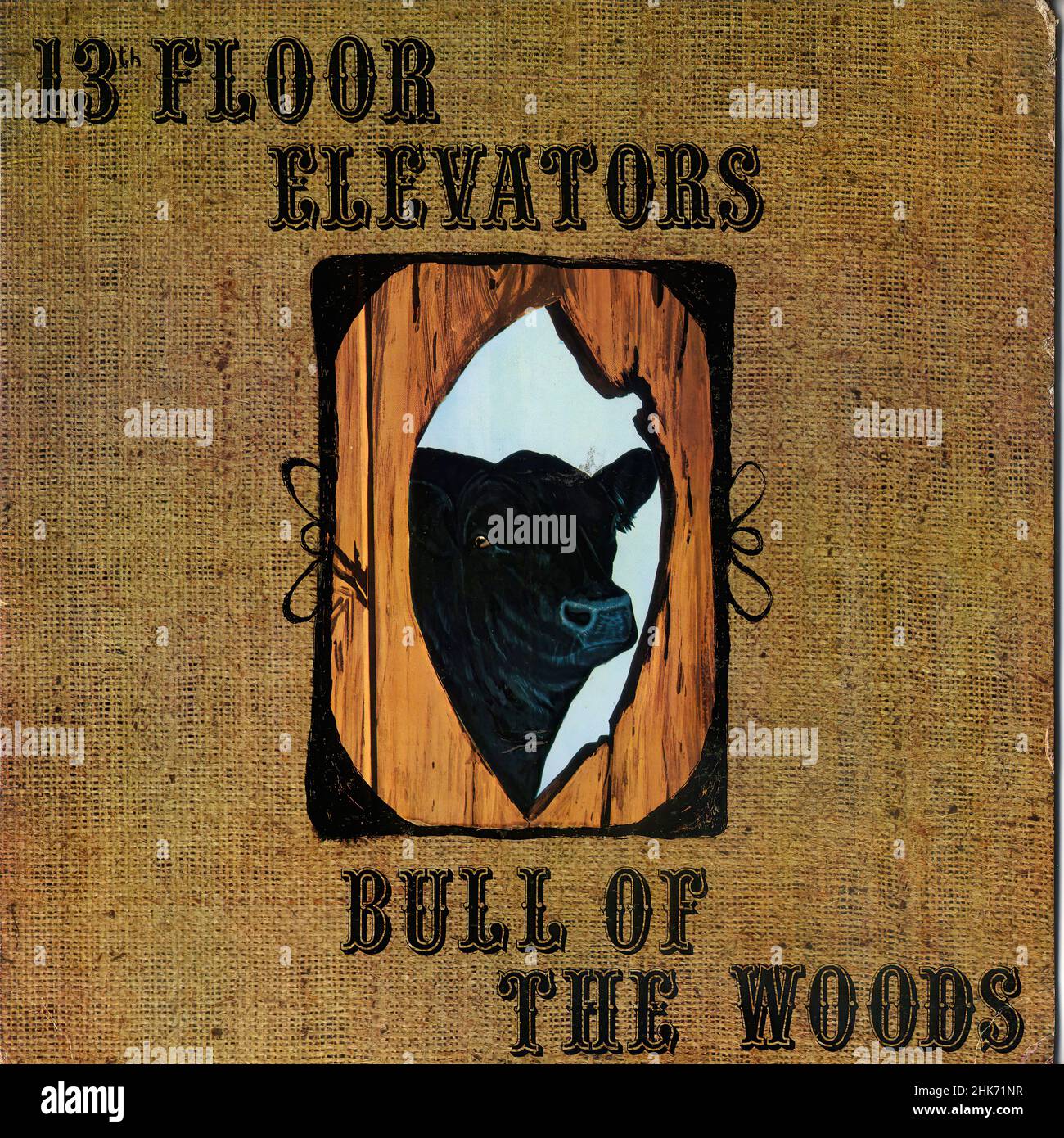 Vintage vinyl record cover - 13th Floor Elevators - Bull Of The Woods - US - 1969 Stock Photo