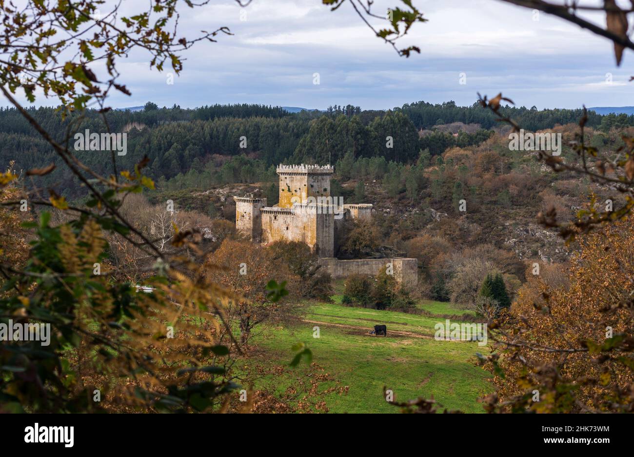 Castillo de Pambre. Palas de Rey. Lugo. Galicia. España Stock Photo