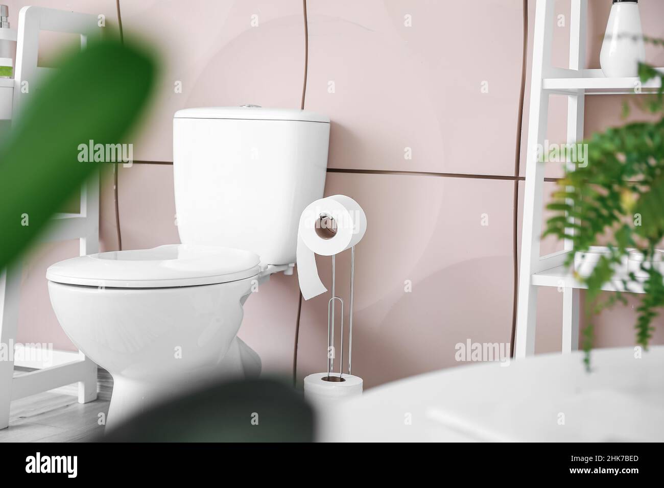 Interior of modern restroom with toilet bowl Stock Photo - Alamy