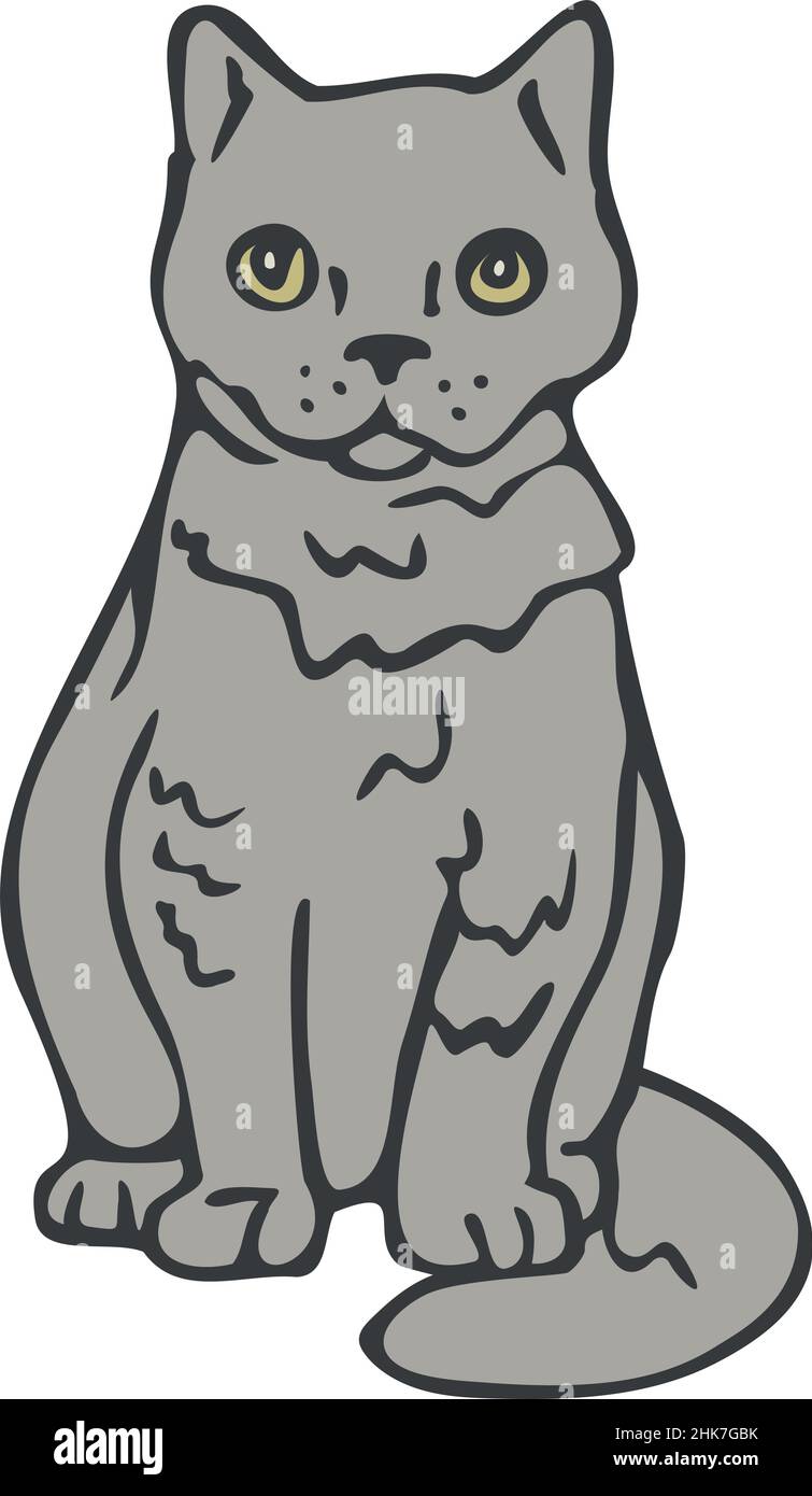 Vector illustration of cat. Isolated hand drawn cat Stock Vector Image ...