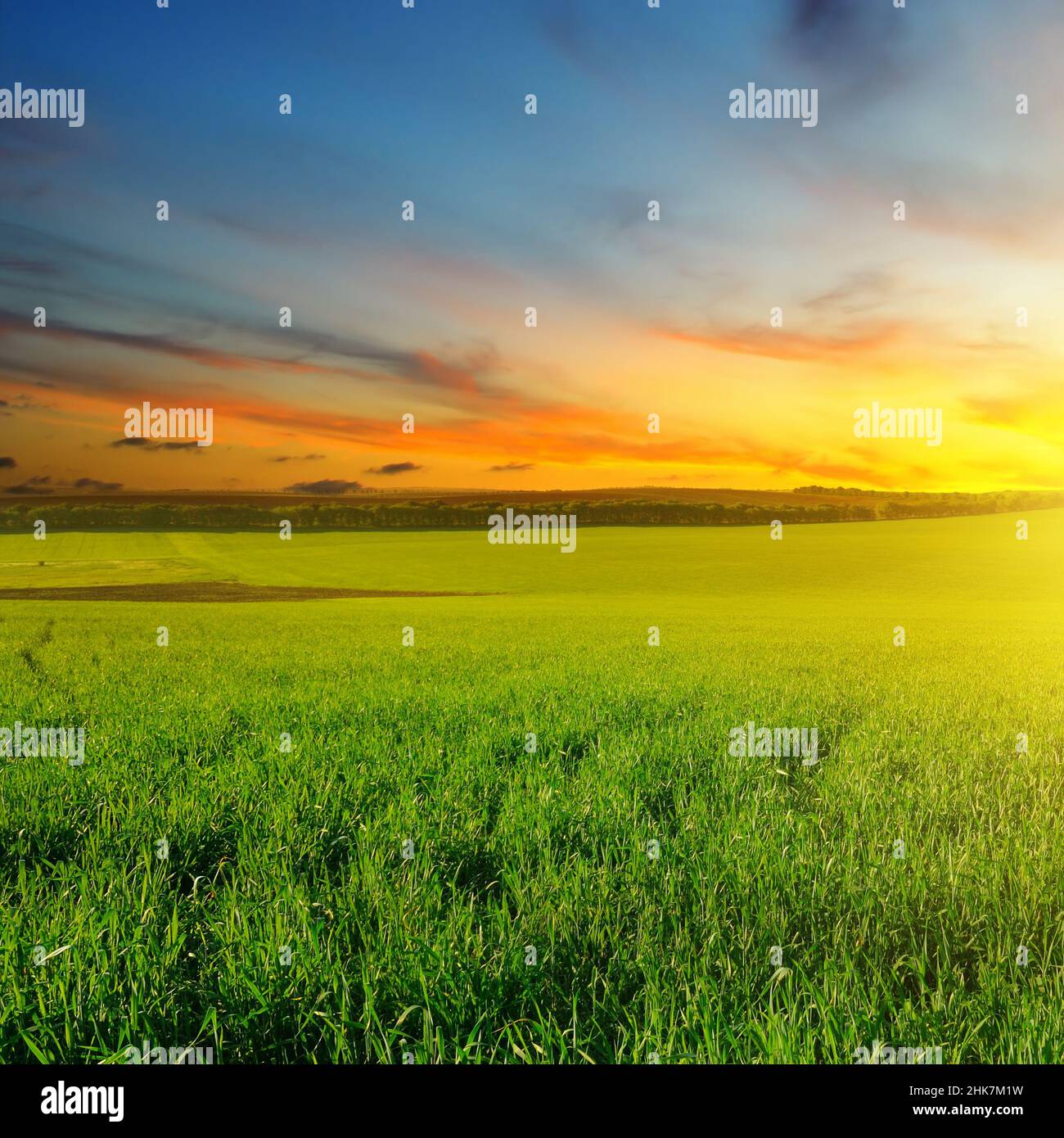 Green field and blue sky with light clouds. Above the horizon is a ...