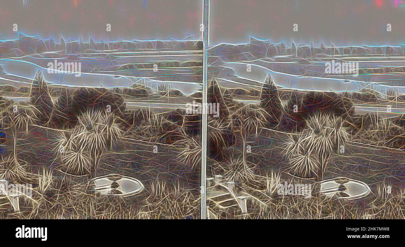 Inspired by View looking across a garden at the back of a rural property, Burton Brothers studio, photography studio, circa 1880, New Zealand, black-and-white photography, Reimagined by Artotop. Classic art reinvented with a modern twist. Design of warm cheerful glowing of brightness and light ray radiance. Photography inspired by surrealism and futurism, embracing dynamic energy of modern technology, movement, speed and revolutionize culture Stock Photo